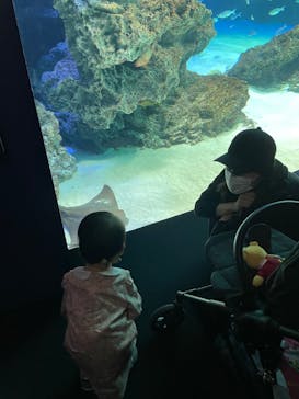 サンシャイン水族館に投稿された画像（2022/4/23）