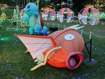 美らヤシパークオキナワ・東南植物楽園に投稿された画像（2022/4/23）