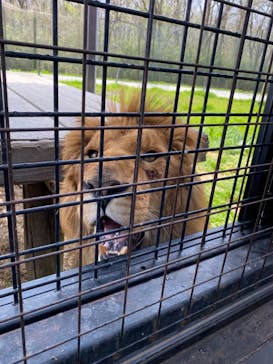 那須サファリパークに投稿された画像（2022/4/23）