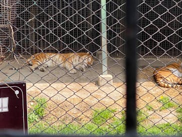 那須サファリパークに投稿された画像（2022/4/23）