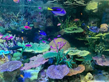 サンシャイン水族館に投稿された画像（2022/4/23）