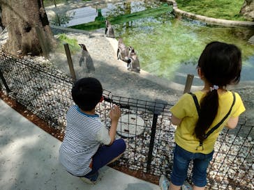 群馬サファリパークに投稿された画像（2022/4/23）