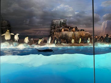 名古屋港水族館に投稿された画像（2022/4/23）