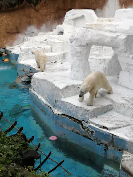 天王寺動物園に投稿された画像（2022/4/23）