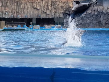 名古屋港水族館に投稿された画像（2022/4/23）
