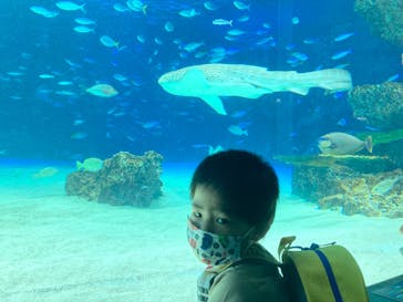 サンシャイン水族館に投稿された画像（2022/4/23）