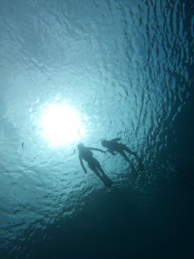 青の洞窟専門店　沖縄ダイビングショップ和に投稿された画像（2022/4/23）