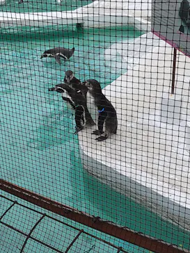 天王寺動物園に投稿された画像（2022/4/23）