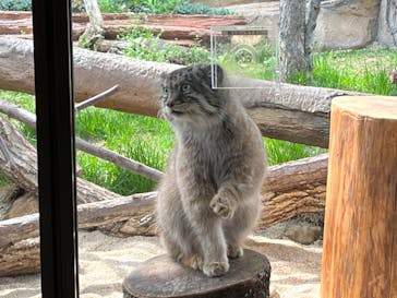 那須どうぶつ王国に投稿された画像（2022/4/23）