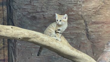 那須どうぶつ王国に投稿された画像（2022/4/23）