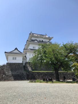 小田原城に投稿された画像（2022/4/23）