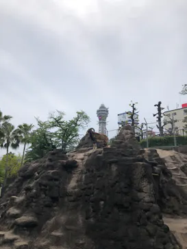 天王寺動物園に投稿された画像（2022/4/23）