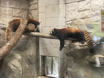 天王寺動物園に投稿された画像（2022/4/23）