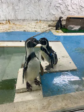 天王寺動物園に投稿された画像（2022/4/23）