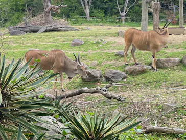 天王寺動物園に投稿された画像（2022/4/23）