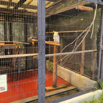 天王寺動物園に投稿された画像（2022/4/23）