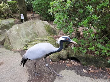 伊豆シャボテン動物公園に投稿された画像（2022/4/23）