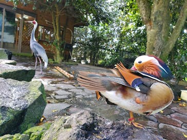 伊豆シャボテン動物公園に投稿された画像（2022/4/23）