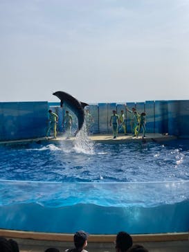 新江ノ島水族館に投稿された画像（2022/4/23）