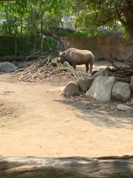 天王寺動物園に投稿された画像（2022/4/23）