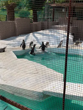 天王寺動物園に投稿された画像（2022/4/23）
