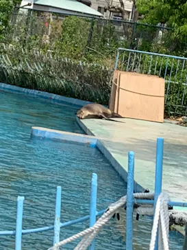 天王寺動物園に投稿された画像（2022/4/23）