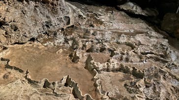 あぶくま洞に投稿された画像（2022/4/23）