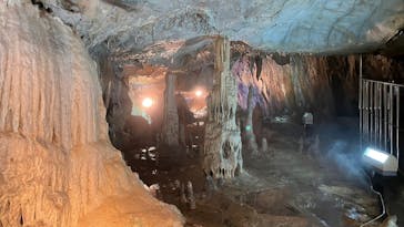 あぶくま洞に投稿された画像（2022/4/23）