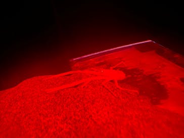 伊豆・三津シーパラダイスに投稿された画像（2022/4/23）