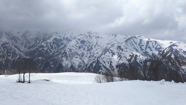 Hakuba47ウィンタースポーツパークに投稿された画像（2022/4/23）