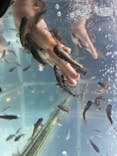 サケのふるさと 千歳水族館に投稿された画像（2022/4/23）