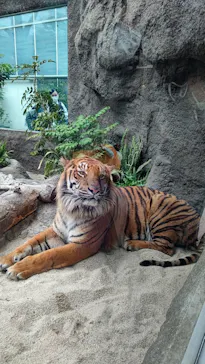 神戸どうぶつ王国に投稿された画像（2022/4/23）