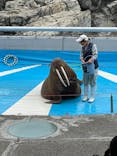 大分マリーンパレス水族館 「うみたまご」に投稿された画像（2022/4/23）