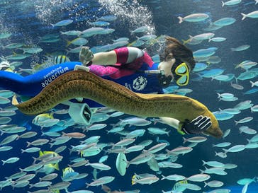 サンシャイン水族館に投稿された画像（2022/4/23）