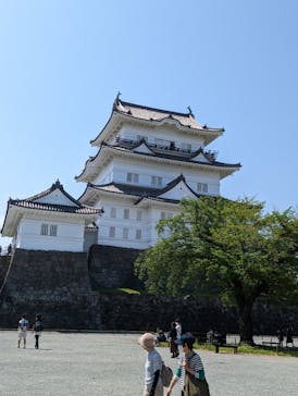 小田原城に投稿された画像（2022/4/23）