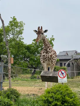 天王寺動物園に投稿された画像（2022/4/23）