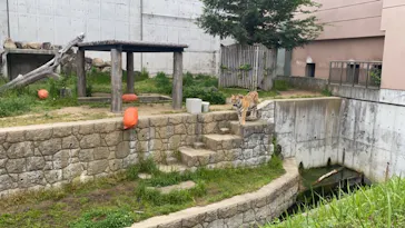 天王寺動物園に投稿された画像（2022/4/23）