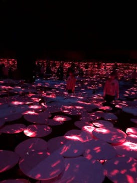 森ビル デジタルアート ミュージアム：エプソン チームラボボーダレスに投稿された画像（2022/4/23）