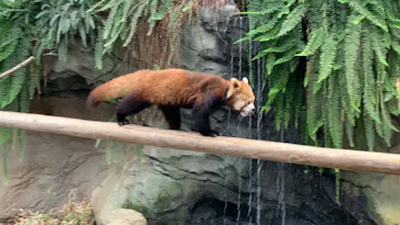 神戸どうぶつ王国に投稿された画像（2022/4/23）