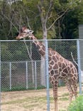 しろとり動物園に投稿された画像（2022/4/23）
