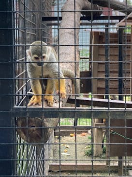 しろとり動物園に投稿された画像（2022/4/23）