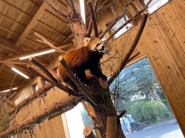 伊豆シャボテン動物公園に投稿された画像（2022/4/23）