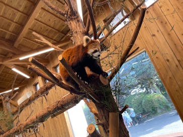 伊豆シャボテン動物公園に投稿された画像（2022/4/23）