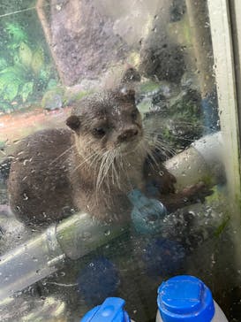 伊豆シャボテン動物公園に投稿された画像（2022/4/23）
