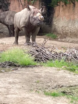 天王寺動物園に投稿された画像（2022/4/23）
