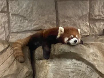 天王寺動物園に投稿された画像（2022/4/23）