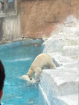 天王寺動物園に投稿された画像（2022/4/23）
