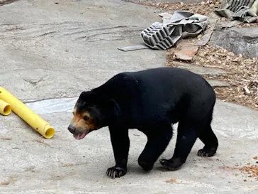 天王寺動物園に投稿された画像（2022/4/23）