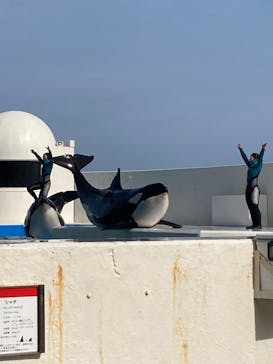 鴨川シーワールドに投稿された画像（2022/4/23）