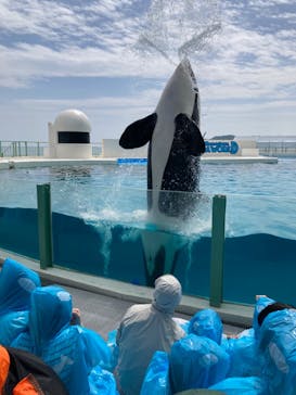 鴨川シーワールドに投稿された画像（2022/4/23）